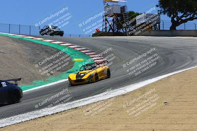 media/Jul-26-2022-Speed SF (Tue) [[35644a0384]]/Gold Group/Turn 3 (Corkscrew)/